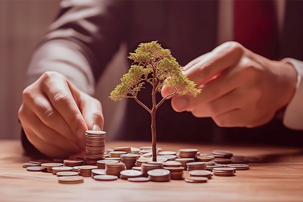 Investment Growth - Nurturing Financial Success